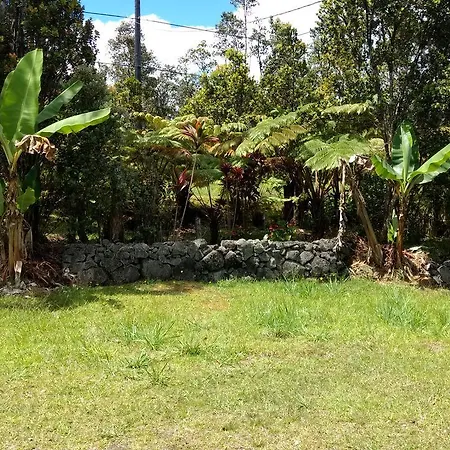 Kuuipo Cottage Mountain View Exterior photo