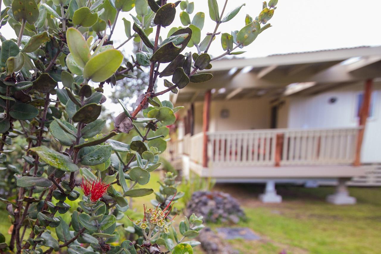 Kuuipo Holiday home